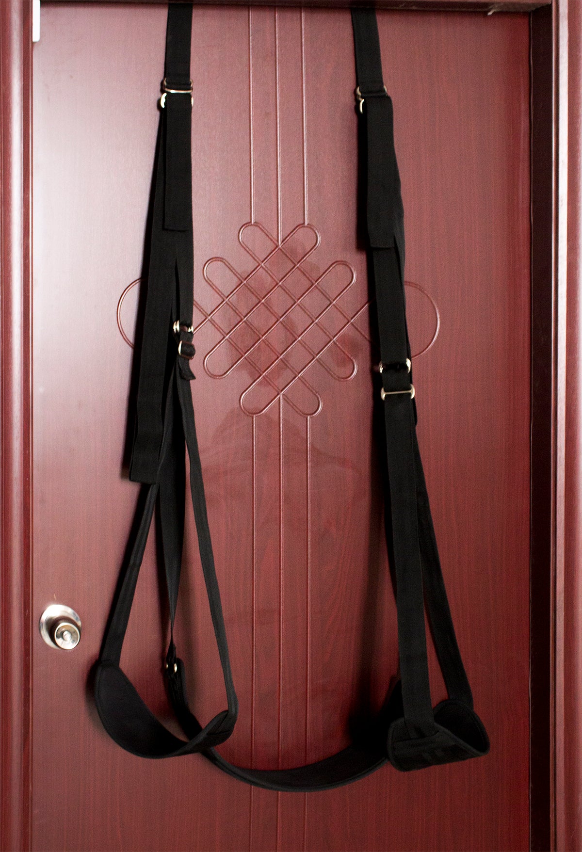 Thrill Seeker Door Swing