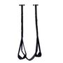 Thrill Seeker Door Swing