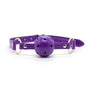 Viola Bondage Set